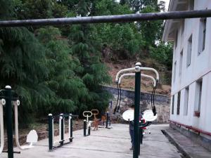 彭州市天彭镇村委员会-户外健身器材